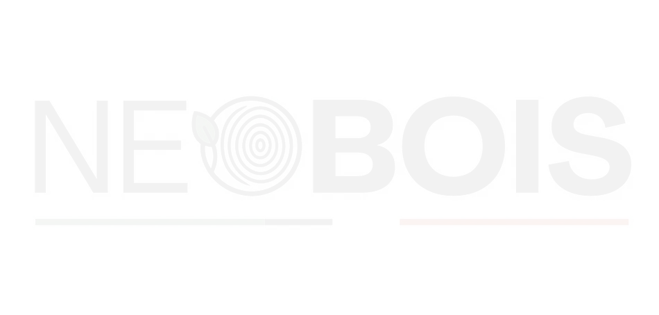 Carte de la zone de livraison NEOBOIS autour de Saint-Benin-d'Azy