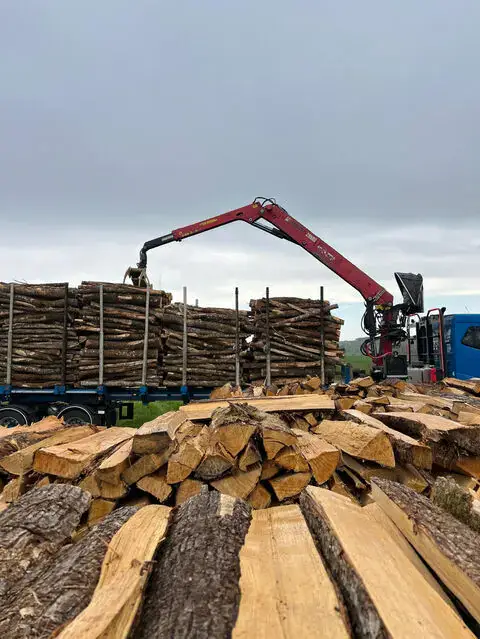 Stockage du bois de chauffage NEOBOIS